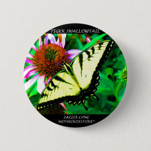 Button van de tijgerdoorn (doorzichtig wit)