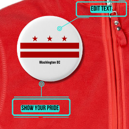 Button van de Washington DC Pride