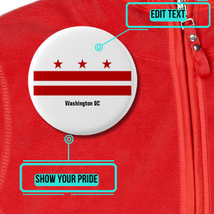 Button van de Washington DC Pride