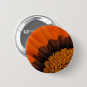 Button van Gazania (Voorkant /achterkant)