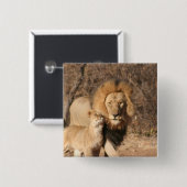 Button van leder en lion Cub (Voorkant /achterkant)