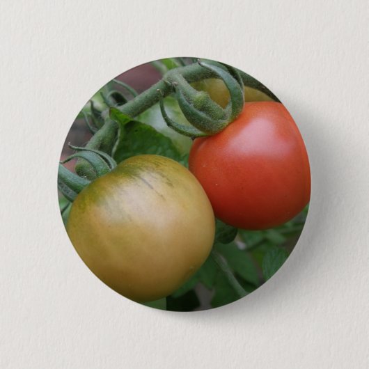 Button van Oranje en rode tomaten (Voorkant)