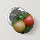 Button van Oranje en rode tomaten (Voorkant /achterkant)