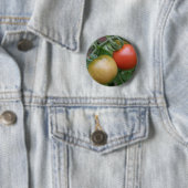 Button van Oranje en rode tomaten (In situ)