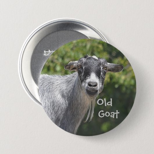 Button van oude geiten (Voorkant /achterkant)