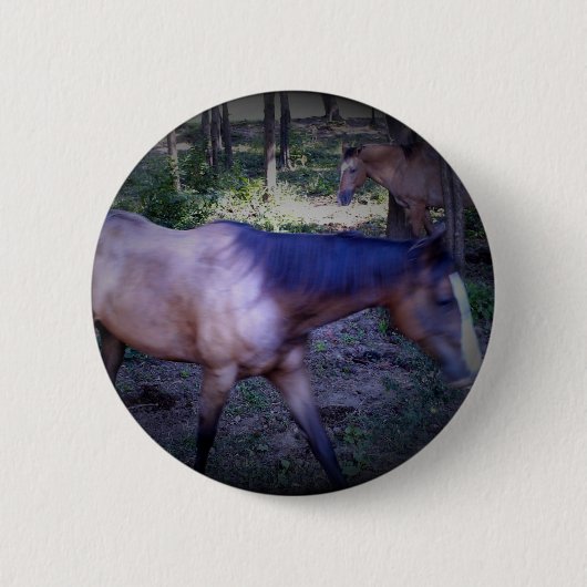Button van paard 2 (Voorkant)