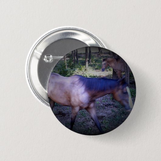 Button van paard 2 (Voorkant /achterkant)