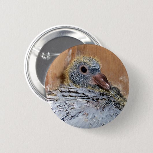 Button van trekduif (Voorkant /achterkant)