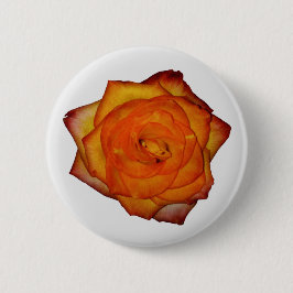 Button van verbrand Oranje Roos