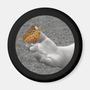 Button van vlinder magneet