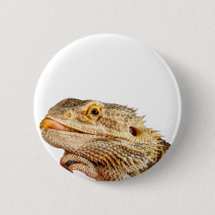 Button voor gekoppelde dragon