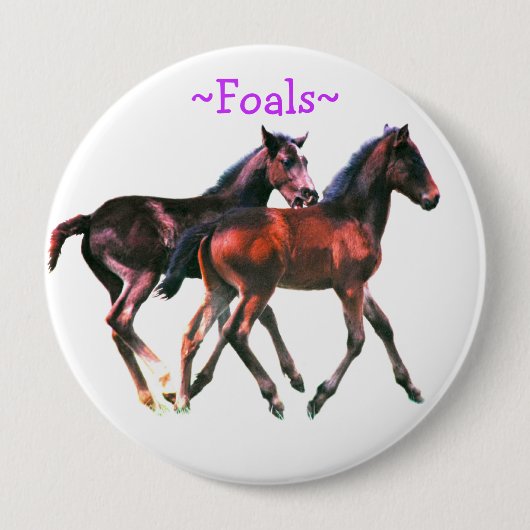 Button voor het afspelen van dieren (Voorkant)