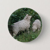 Button voor het eten van schapen (Voorkant)