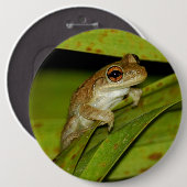 Button voor het glimlachen van boomkikker (Voorkant /achterkant)