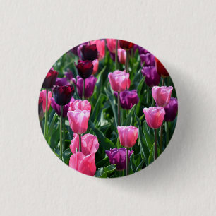Button voor roze en Paarse Tulpen / badge