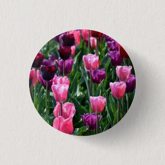Button voor roze en Paarse Tulpen / badge (Voorkant)