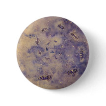 Button voor ruimtebijen