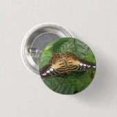  Button voor Tropische Clipper Butterfly (Voorkant /achterkant)