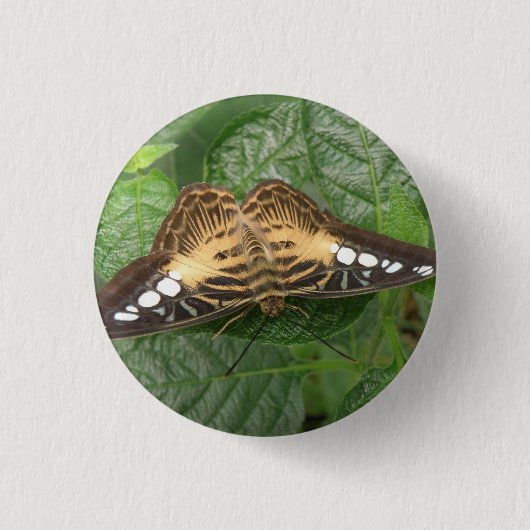  Button voor Tropische Clipper Butterfly (Voorkant)