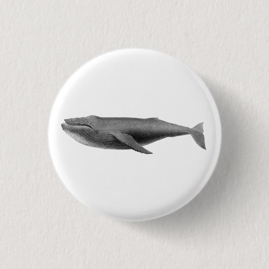 BUTTON VOOR WALE ZEELGOED (Voorkant)