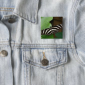 Button voor Zebra-langwerpvlinder (In situ)