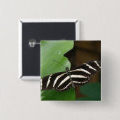 Button voor Zebra-langwerpvlinder (Voorkant /achterkant)