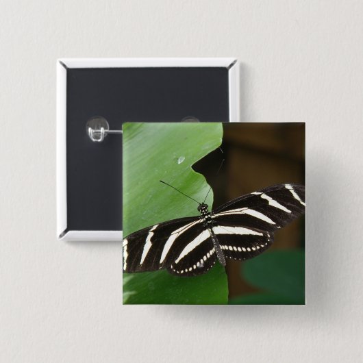 Button voor Zebra-langwerpvlinder (Voorkant /achterkant)