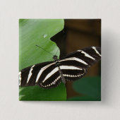 Button voor Zebra-langwerpvlinder (Voorkant)