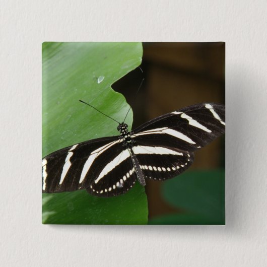 Button voor Zebra-langwerpvlinder (Voorkant)