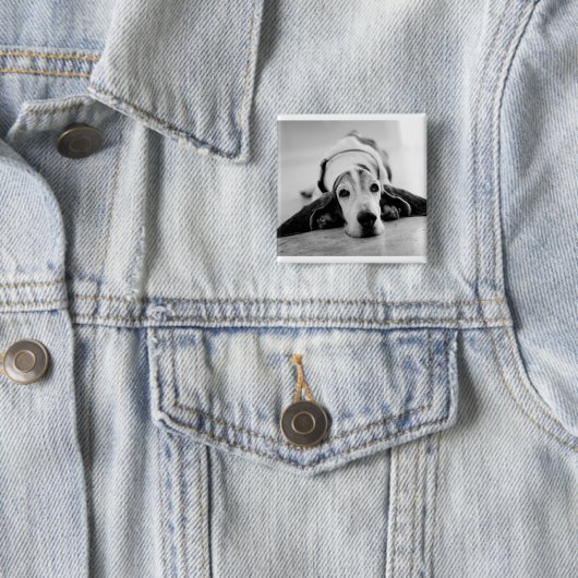 Button voor zwart-wit Basset Hound (In situ)
