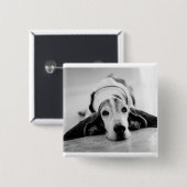 Button voor zwart-wit Basset Hound (Voorkant /achterkant)