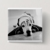 Button voor zwart-wit Basset Hound (Voorkant)