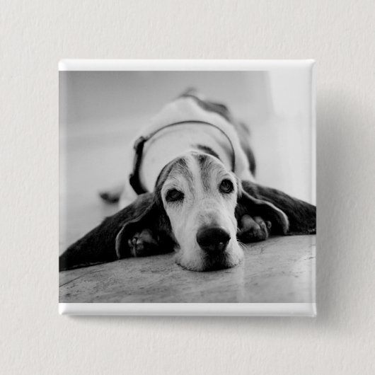 Button voor zwart-wit Basset Hound (Voorkant)