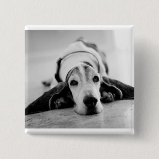 Button voor zwart-wit Basset Hound