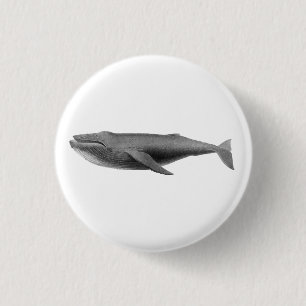 BUTTON WALEN