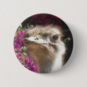 Button Zuid-Afrika Ostrich Face (Voorkant)