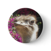 Button Zuid-Afrika Ostrich Face