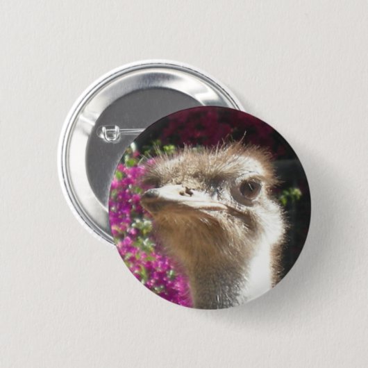 Button Zuid-Afrika Ostrich Face (Voorkant /achterkant)