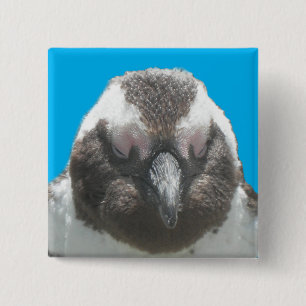 Button Zuid-Afrikaans Penguin Face
