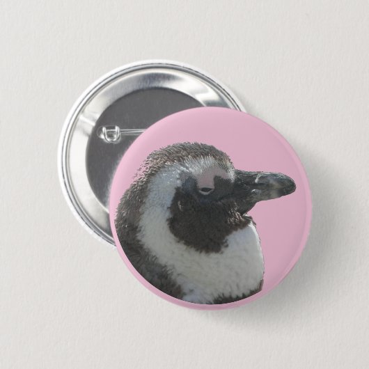 Button Zuid-Afrikaanse pinguïn (Voorkant /achterkant)