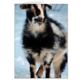 Buttonnen (Voorkant)