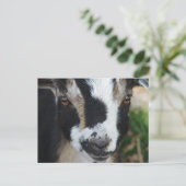 Buttonnen Briefkaart (Staand voorkant)