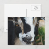 Buttonnen Briefkaart (Voorkant / Achterkant)