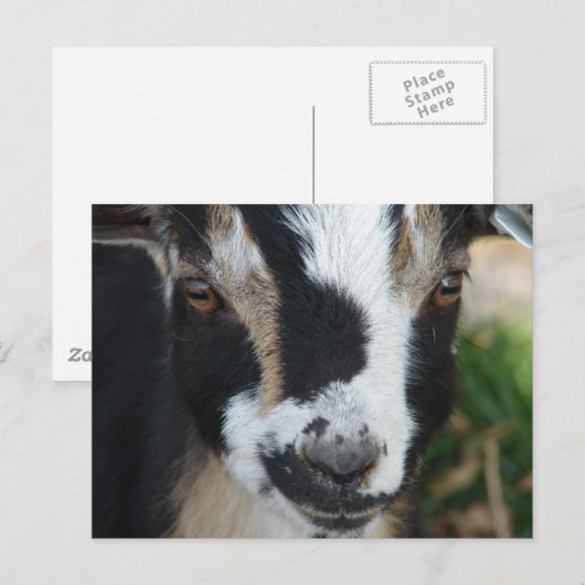 Buttonnen Briefkaart (Voorkant / Achterkant)