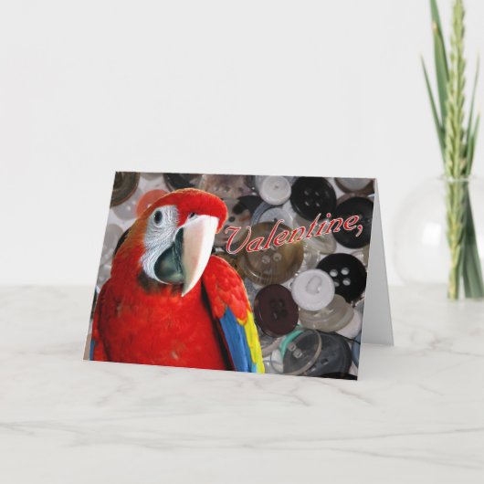 Buttonnen Feestdagen Kaart (Voorkant)