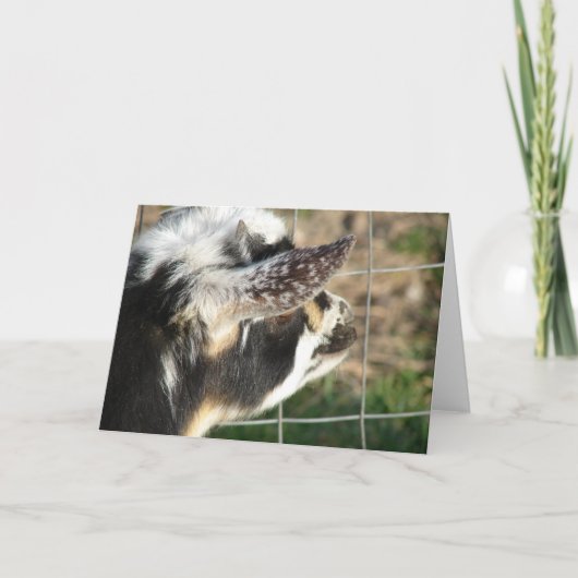 Buttonnen Kaart (Voorkant)