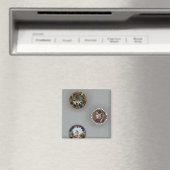 Buttonnen Magneet (Insitu (Vaatwasser))