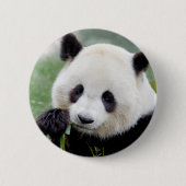 Buttonnen reusachtige panda. Panda-wedstrijd. Ronde Button 5,7 Cm (Voorkant)