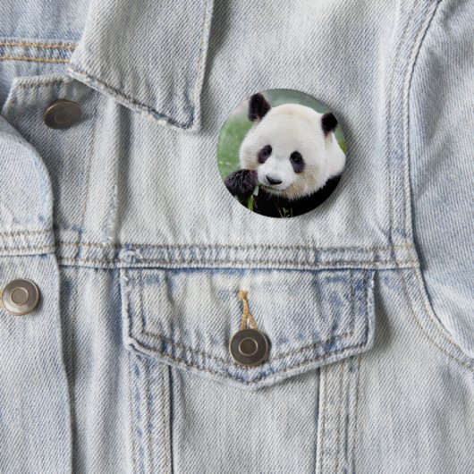 Buttonnen reusachtige panda. Panda-wedstrijd. Ronde Button 5,7 Cm (In situ)