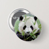 Buttonnen reusachtige panda. Panda-wedstrijd. Ronde Button 5,7 Cm (Voorkant /achterkant)